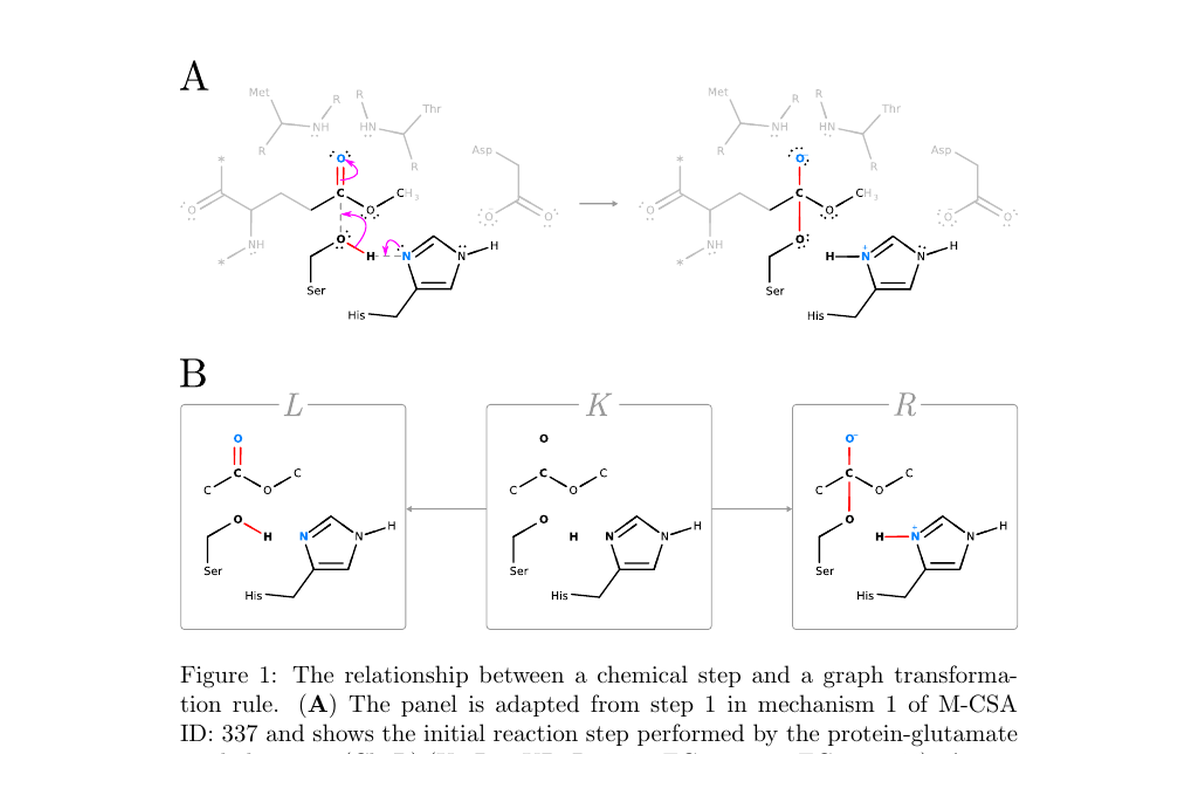 Conversion of an enzymatic reaction mechanism into a graph transformation rule